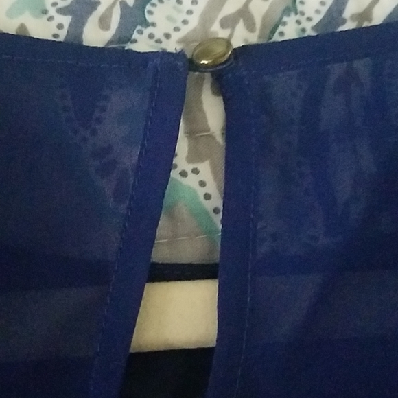 Express Navy Sheer Pleated Blouse - Picture 4 of 6